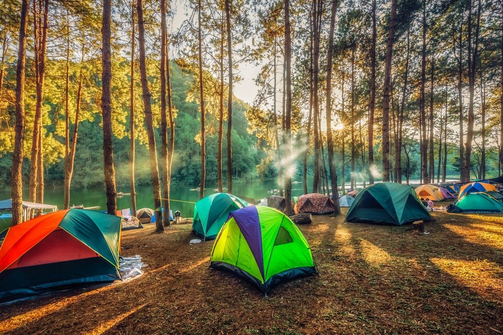 camping site in the forest near the river