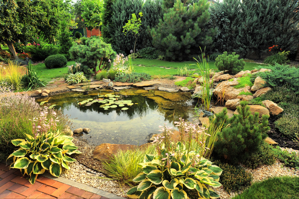 A beautiful pond landscape in a garden